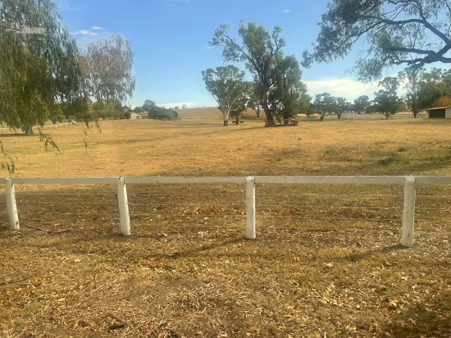 Dubbo Zoo 2025 Image -67de04c4a3ab4